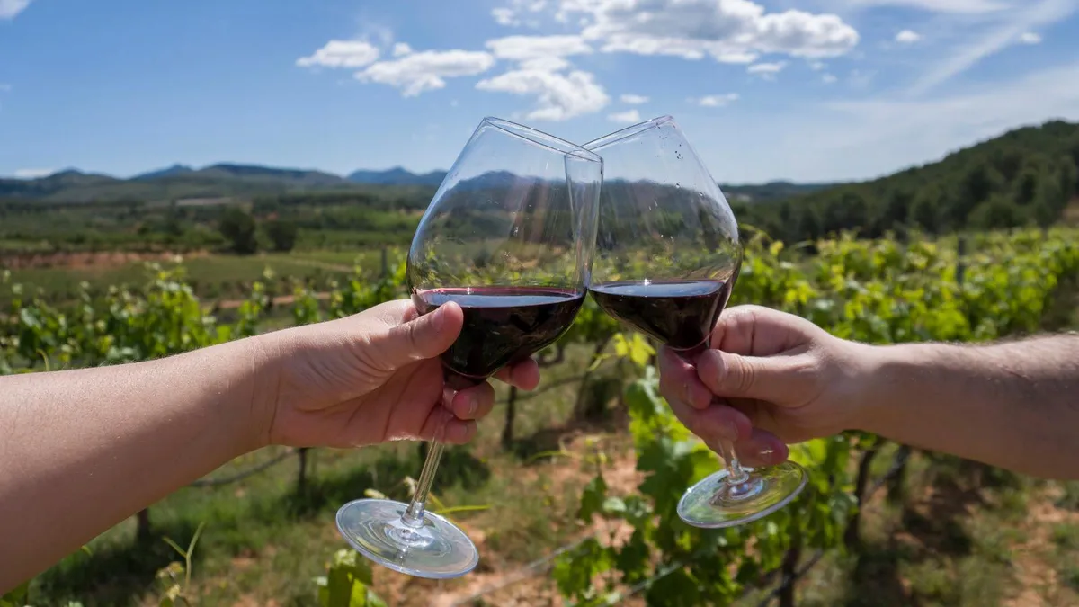 Vino