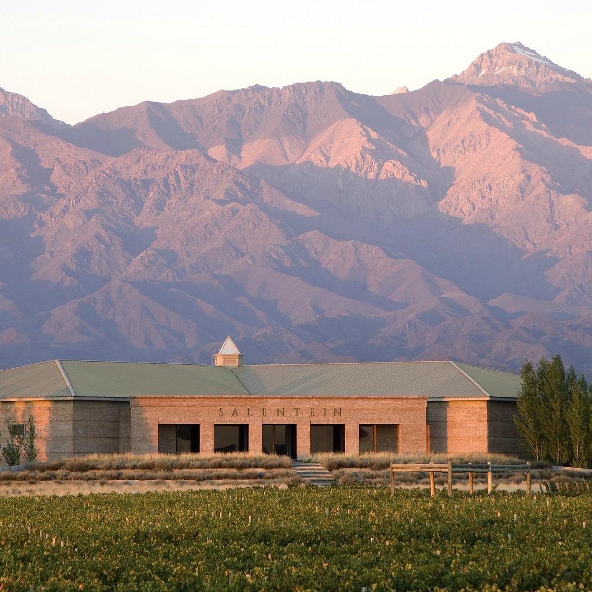 Bodega Salentein