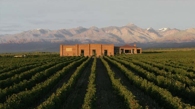 Ruta del vino